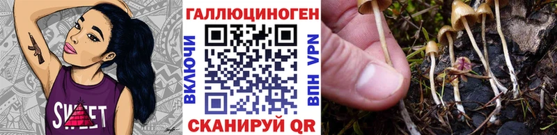 Галлюциногенные грибы MAGIC MUSHROOMS где купить Аткарск